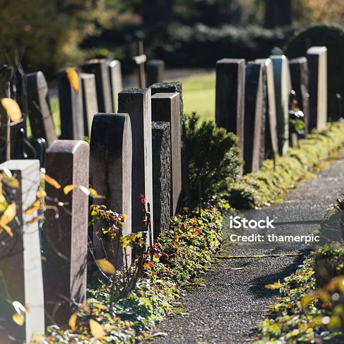 eine Reihe an Gräbern mit schlichten Grabsteinen