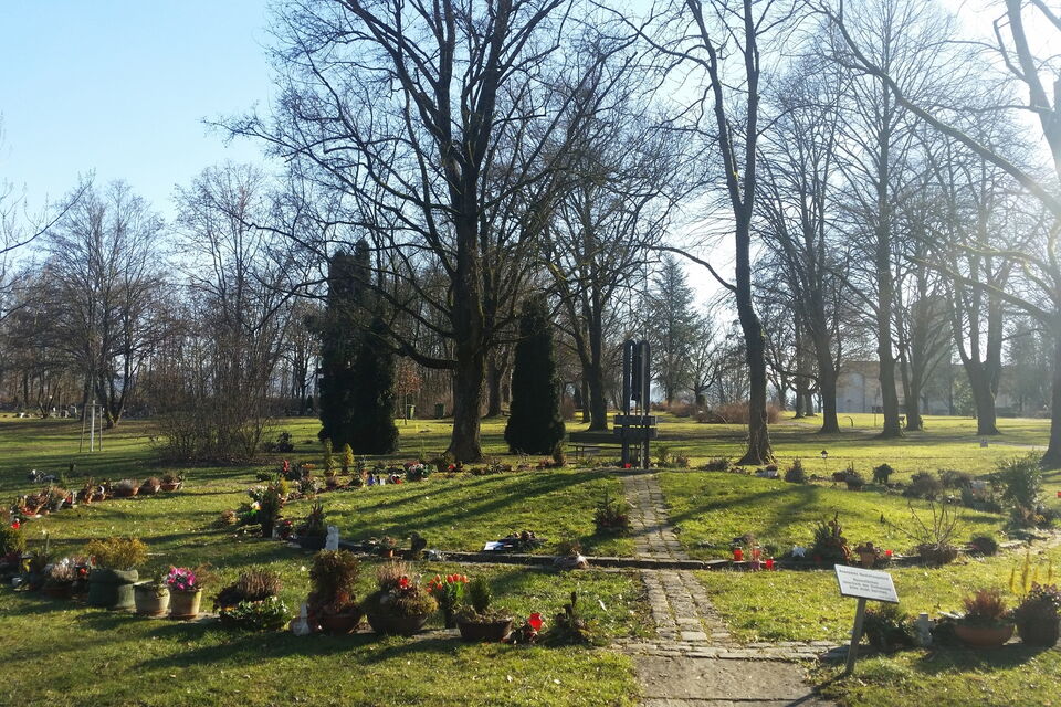 grüner Friedhof mit einigen Bäumen und Gräbern, einem Kreis angeordnet, welcher einen weiteren Gräberkreis umschließt