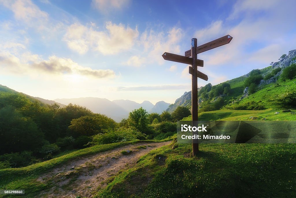 Wegweiser neben einem Wanderweg neben einer grünen Wiese mit Wald, Bergen und blauem HImmel im Hintergrund